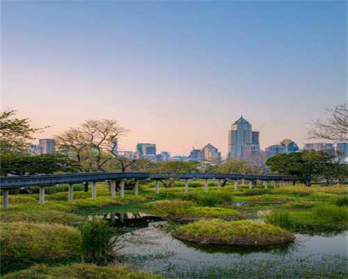 石家庄市国源和天下幼儿园举行户外操、游戏展评活动