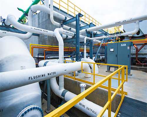 改革路上 一双“李宁”鞋的光鲜与失落