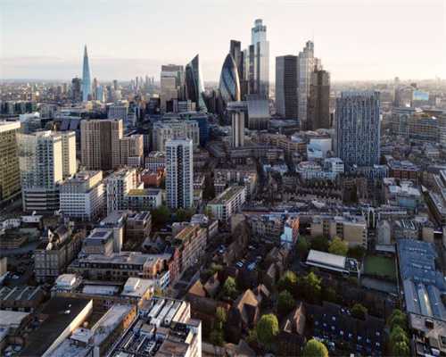 巧剪金莫似欲飞，恍疑平世凤来仪—洋金凤