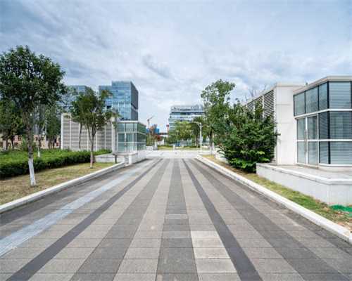 北京一女子网恋被骗824万 婚恋网站是否该担责？