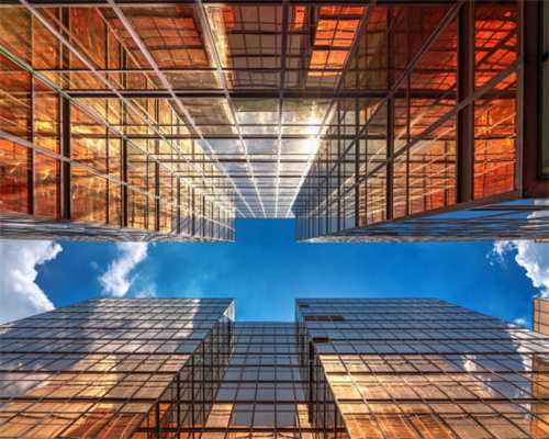 在呼和浩特，外媒记者探寻“中国乳都”的发展活力