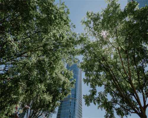 工业和信息化部办公厅关于水泥行业产能置换有关问题的意见