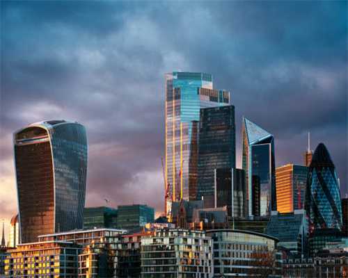 松鼠住进小区里 居民：这是我们的小确幸