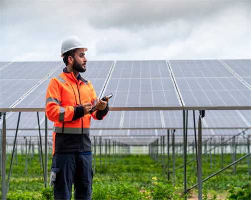 张林调研南域片区（大妙镇、仁和镇、夕佳山镇）镇域经济发展工作