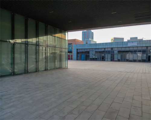 浙江莲都万人志愿服务进乡镇 共奏乡风文明创建凯歌