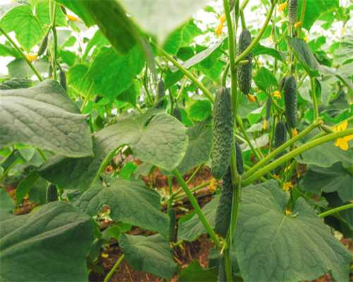 安全生产“一法一条例”执法检查 | 时刻筑牢安全生产“防火墙”