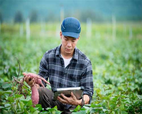 中考学校盘点｜头把交椅轮流坐，二中广附口碑却两极分化......