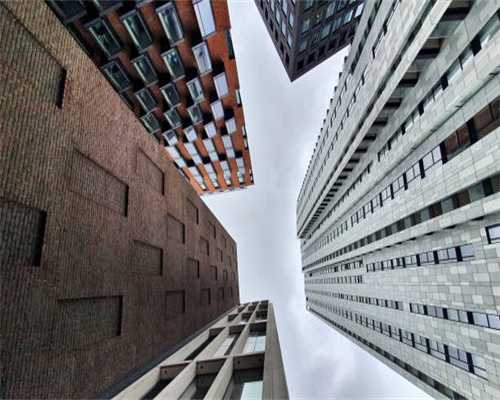 2024-2030年中国三螺杆泵市场深度研究及投资策略分析报告