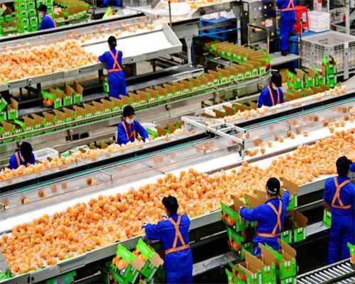 曝张兰曾当夜总会妈妈桑！为救旗下小姐遭客人威胁，爆料疑点多