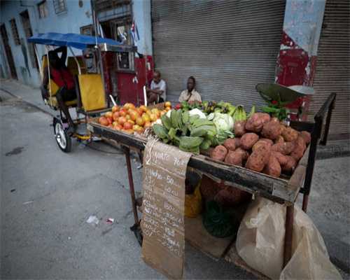 陆克华等接连落马，“广阳岛”开发再引关注