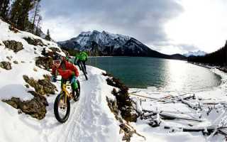 丰台区文旅局团支部举办“新悦”读书会第2期暨青年交流沙龙活动