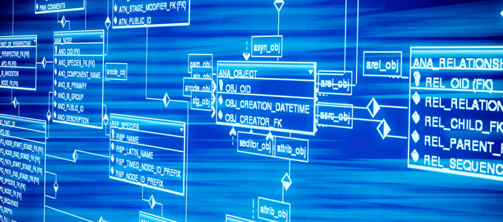 5款一层新中式四合院，庭院有车库，外观大气功能齐全大家庭所选